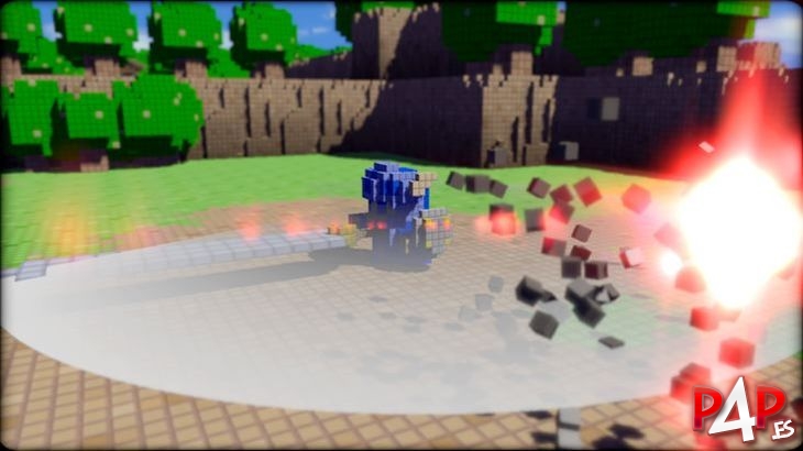 3D Dot Game Heroes foto_3