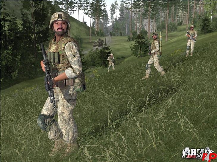 ARMA: Armed Assault foto_12