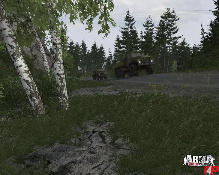 ARMA: Armed Assault foto_16