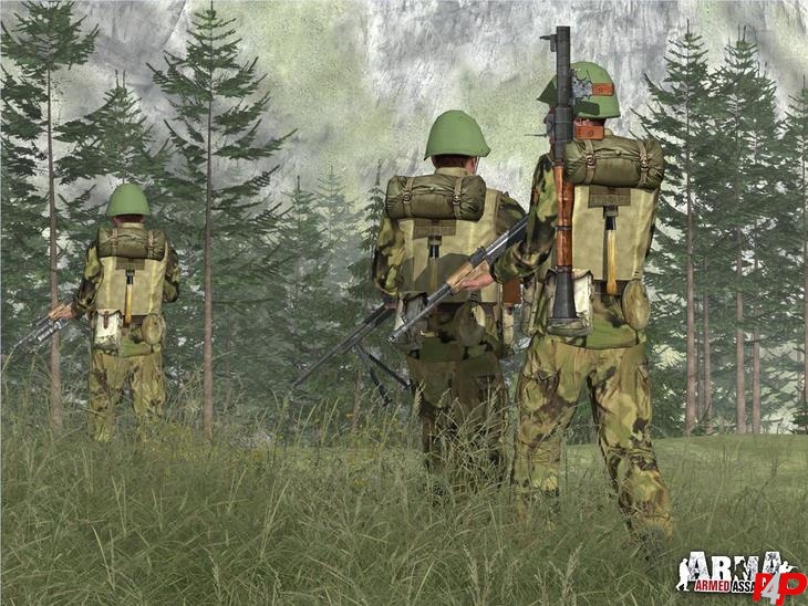 ARMA: Armed Assault foto_2