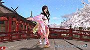 Imagen 8 de Dead or Alive 4