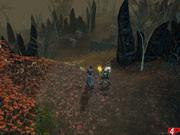 Imagen 19 de Dungeon Siege II: Broken World