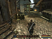 Imagen 10 de Gothic 3