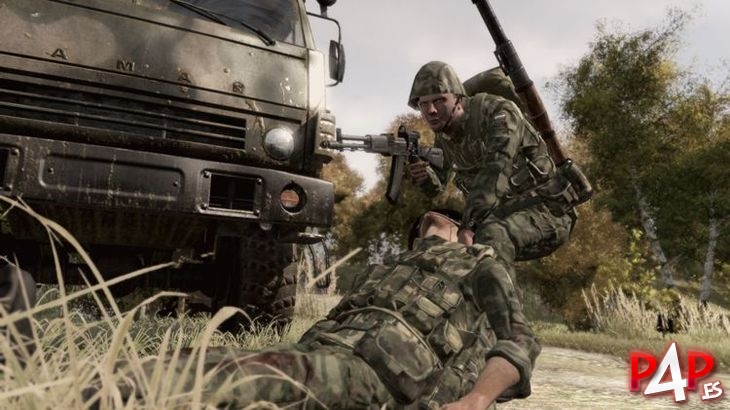 ARMA II foto_22