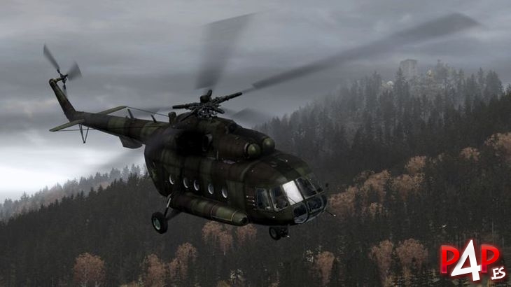 ARMA II foto_29