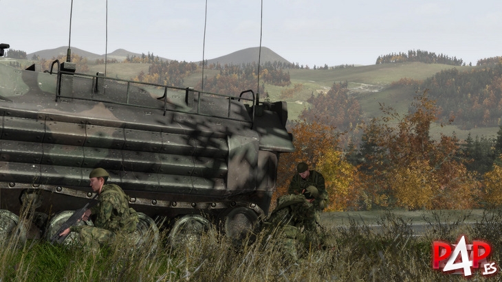 ARMA II foto_5