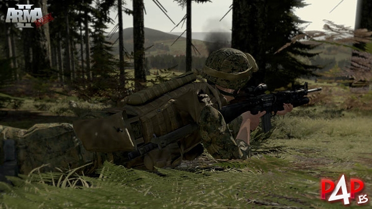 ARMA II foto_9