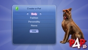Imagen 5 de Los Sims 2: Mascotas