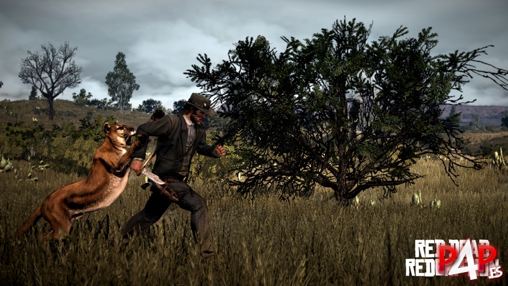 Red Dead Redemption foto_4