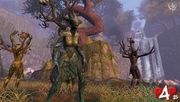 Imagen 47 de Warhammer Online: Age of Reckoning