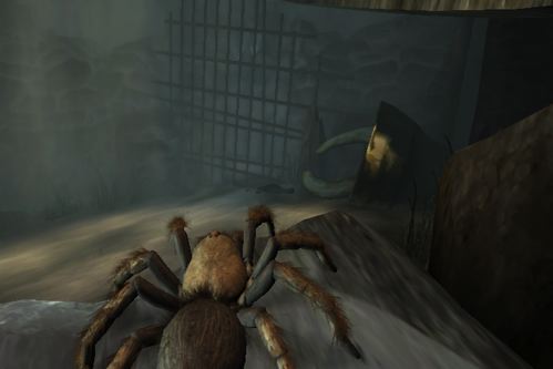Imagen_3 Nuevas screens de Deadly Creatures: ¿escorpión...o tarántula?