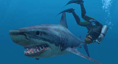 Imagen_3 Sumérgete en Endless Ocean, un ecosistema real y vivo en Wii