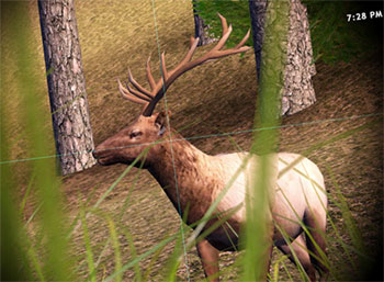 Imagen_4 Friendware presenta Hunting Unlimited 2008