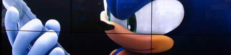 Dossier de Sonic Wild Fire