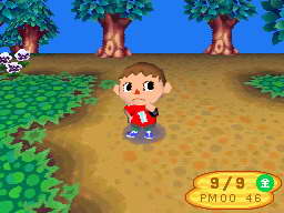 Animal Crossing en camino hacia Revolution