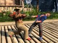 Imágenes de Virtua Fighter 5