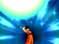 Dragon Ball Z: Shin Budokai en acción