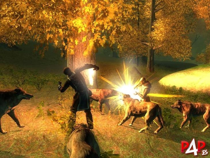 Drakensang: The Dark Eye foto_11