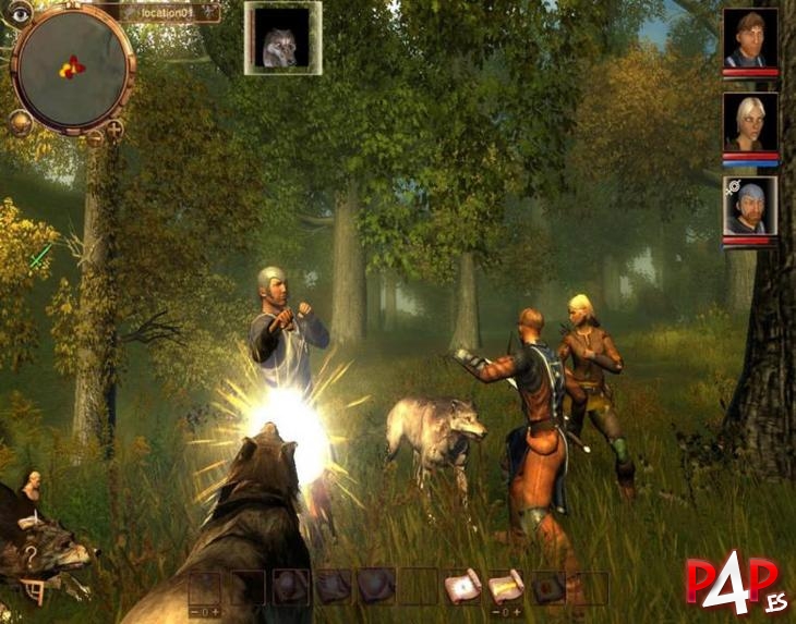 Drakensang: The Dark Eye foto_12