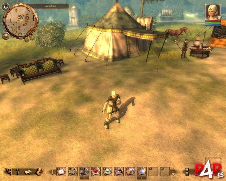 Drakensang: The Dark Eye foto_2