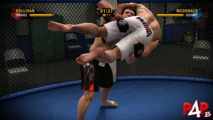 EA Sports MMA foto_15