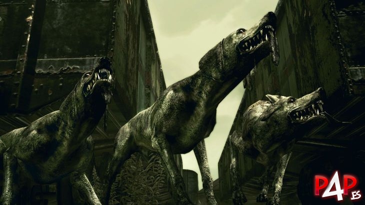 Resident Evil 5 foto_25